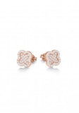 Clover Stud Earrings in Rose Gold